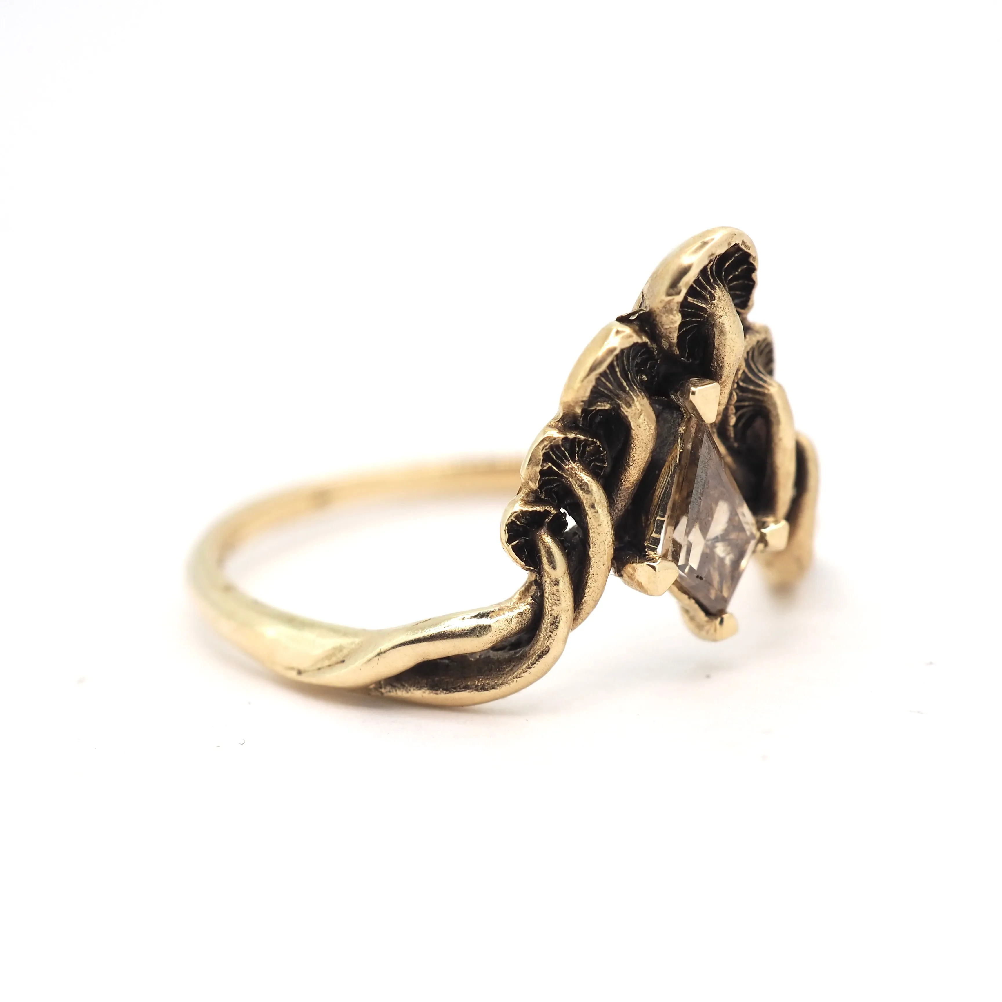 Mushroom peak ring