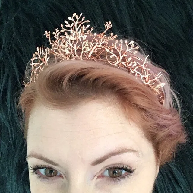 The VEDA Crown